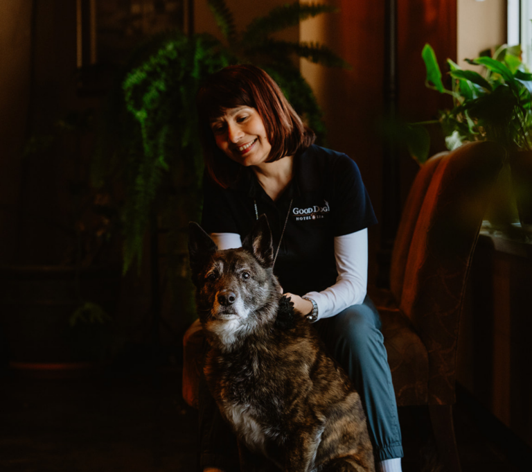 Good Dog Hotel